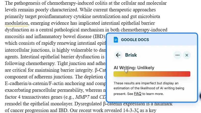 Brisk AI Detector result: "AI Writing: Unlikely" on human-written content
