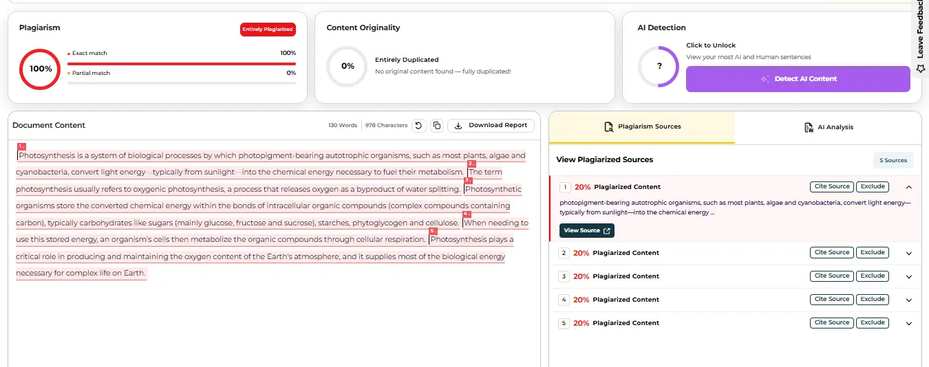 PlagiarismDetector.net report showing matched text and linked sources